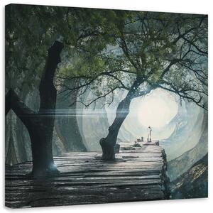 Obraz na plátně Most v jeskyni - Zehem Chong Rozměry: 30 x 30 cm