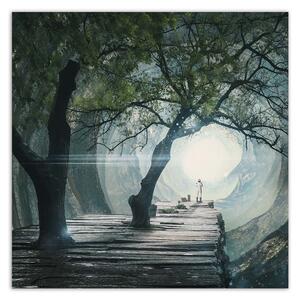 Obraz na plátně Most v jeskyni - Zehem Chong Rozměry: 30 x 30 cm