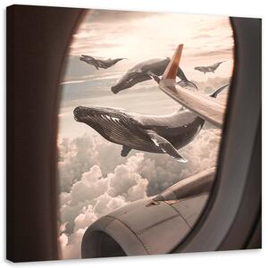 Obraz na plátně Pohled na velryby z letadla - Zehem Chong Rozměry: 30 x 30 cm