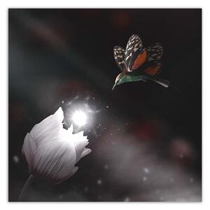 Obraz na plátně Kolibřík a kouzelná květina - Zehem Chong Rozměry: 30 x 30 cm