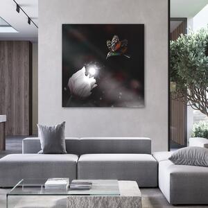 Obraz na plátně Kolibřík a kouzelná květina - Zehem Chong Rozměry: 30 x 30 cm