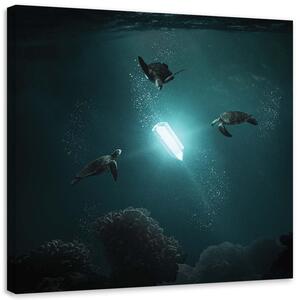 Obraz na plátně Paprsek světla - Zehem Chong Rozměry: 30 x 30 cm