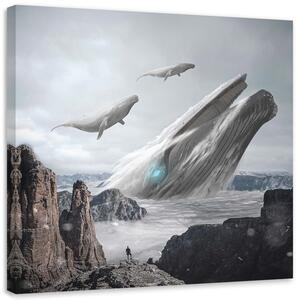 Obraz na plátně Létající velryby - Zehem Chong Rozměry: 30 x 30 cm