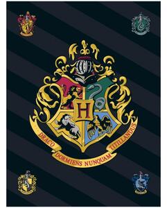 Fleecová deka Harry Potter s erbem čarodějnické školy v Bradavicích