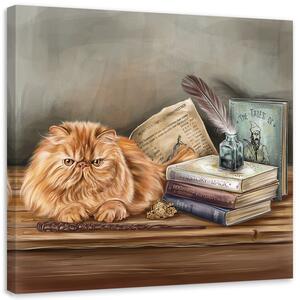 Obraz na plátně Kočka odpočívá ve studiu - Svetlana Gracheva Rozměry: 30 x 30 cm