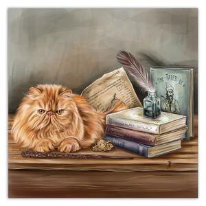 Obraz na plátně Kočka odpočívá ve studiu - Svetlana Gracheva Rozměry: 30 x 30 cm