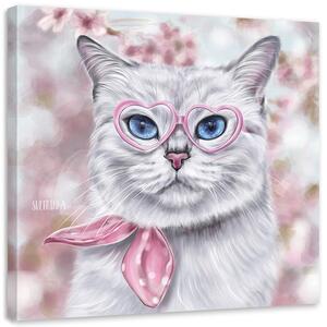 Obraz na plátně Kočičí svět přes růžové brýle - Svetlana Gracheva Rozměry: 30 x 30 cm
