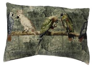 Sametový podlouhlý polštář s papoušky a andulkami - 40*60*15cm