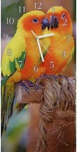 Nástěnné hodiny papoušek 30x60cm LVIII. - plexi
