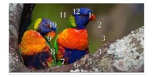 Nástěnné hodiny papoušek 30x60cm XXIX - plexi