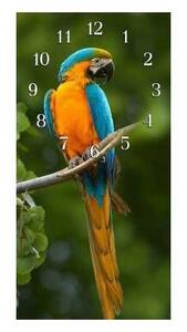 Nástěnné hodiny papoušek 30x60cm XXVIII - kalené sklo