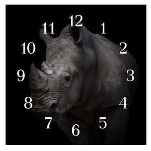Nástěnné hodiny nosorožec 30x30cm I - plexi