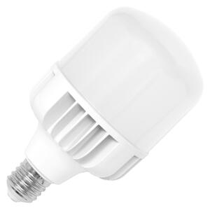 LED Žárovka E40/50W/230V 5000K - Ecolite