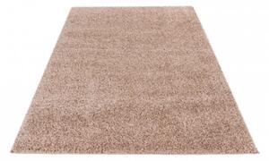 Kusový koberec Emilia 250 taupe 60x110 cm