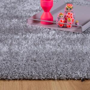 Kusový koberec Emilia 250 silver 200x290 cm