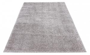 Kusový koberec Emilia 250 silver 60x110 cm