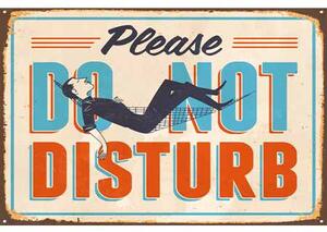 Ceduľa Please Do Not Disturb 30cm x 20cm Plechová tabuľa