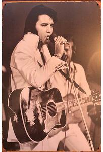 Ceduľa Elvis Presley 30cm x 20cm Plechová tabuľa