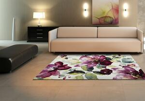 Kusový koberec Atractivo Colors 21854 Multi 140x200 cm