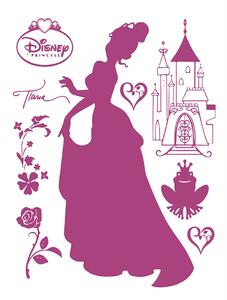 Dětská samolepka na zeď Disney Princezna a žabák | 65 x 85 cm | DDK873