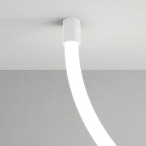 Arelux Stropní nebo nástěnná úchytka pro LED trubice XLOOP 18 Barva: Bílá