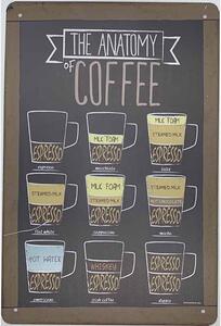 Cedule The Anatomy Coffee