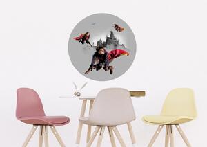 Samolepící vliesová fototapeta na zed' Harry Potter Famfrpálové Trio | 70 x 70 cm | DCRD5807