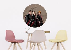 Samolepící vliesová fototapeta na zed' Harry Potter Kouzelné Trio | 70 x 70 cm | DCRD5805