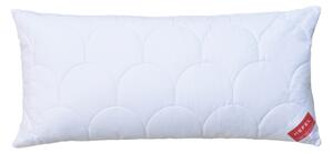POLŠTÁŘ, 40/80 cm Hefel Textil - Polštáře pod hlavu