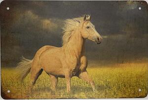 Ceduľa Kôň 40 x 30 cm Plechová tabuľa