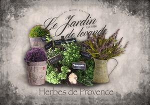 Cedule Levandule - Herbs de Provence