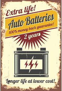 TOP cedule Cedule Extra life! Auto Batteries