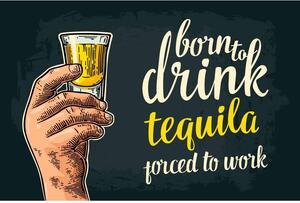 Cedule Born To Drink Tequila – Porced To Work