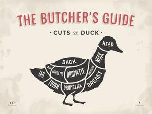 Cedule The Butchers Guide - Cuts Of Duck