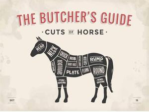 Ceduľa The Butchers Guide - Cuts of Horse 40 x 30 cm Plechová tabuľa