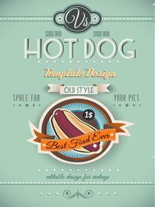 Ceduľa Hot Dog Best Food Ever 30cm x 20cm Plechová tabuľa