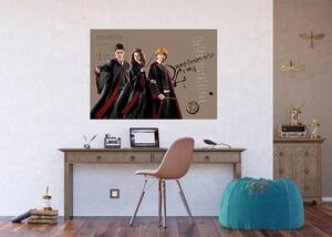 Dětská vliesová fototapeta na zed' Harry Potter Kouzelné Trio | 155 x 110 cm | DFTDNM5295