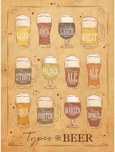 Cedule Types Of Beer