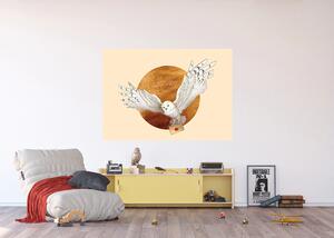 Dětská vliesová fototapeta na zed' Harry Potter Dopis z Bradavic | 155 x 110 cm | DFTDNM7907