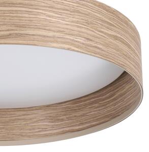 Eglo 900463 - LED Stropní svítidlo LUPPINERIA LED/24W/230V