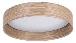 Eglo 900463 - LED Stropní svítidlo LUPPINERIA LED/24W/230V