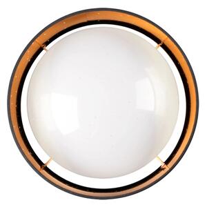 LED Stropní svítidlo TULUZA LED/18W/230V pr. 32 cm černá
