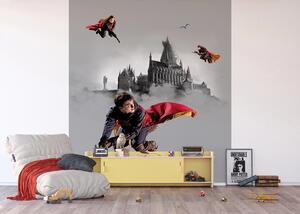 Dětská vliesová fototapeta na zed' Harry Potter | 225 x 270 cm | DFTD3P5167