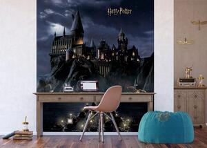 Dětská vliesová fototapeta na zed' Harry Potter | 225 x 270 cm | DFTD3P5175