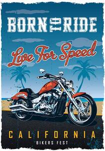 Cedule Born To Ride California