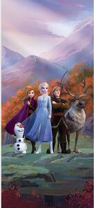 Dětská vliesová fototapeta na zed' Ledové Království Klasika, Disney | 90 x 202 cm | DFTDNV 5487