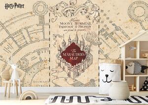 Dětská fototapeta na míru Harry Potter: Pobertův Plánek | Vliesová fototapeta na zed' | DFTD5P352187
