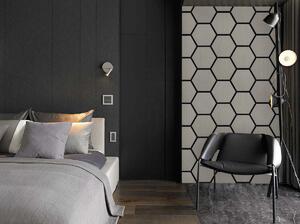 Akustický panel s dřevěnou dýhou - Hexagon - dekor dub šedý | 79,8×66 cm | AKH002 | .cz