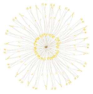 LED Hvězda Supernova - 40cm, 100LED, 8 funkcí, IP44, teplá bílá