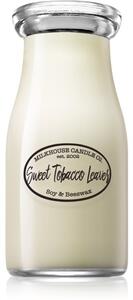 Milkhouse Candle Co. Creamery Sweet Tobacco Leaves vonná svíčka Milkbottle 227 g